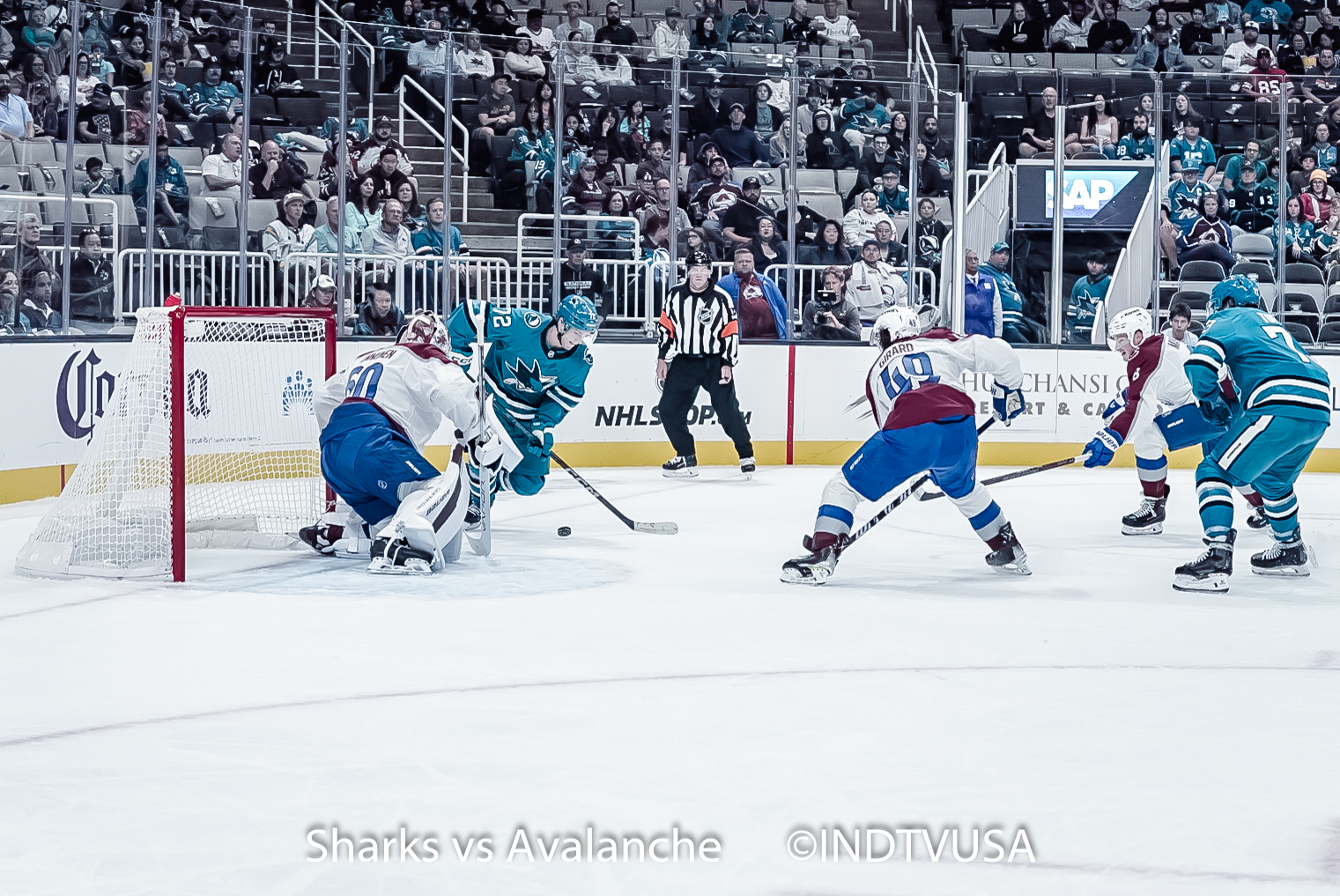 SHARKS SCONFITTI ANCHE DAGLI AVALANCHE