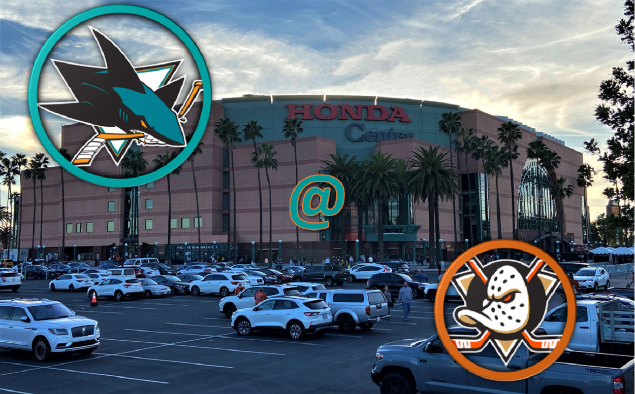 NHL: SHARKS CONTRO I DUCKS PER UNA SPERANZA PLAYOFFS
